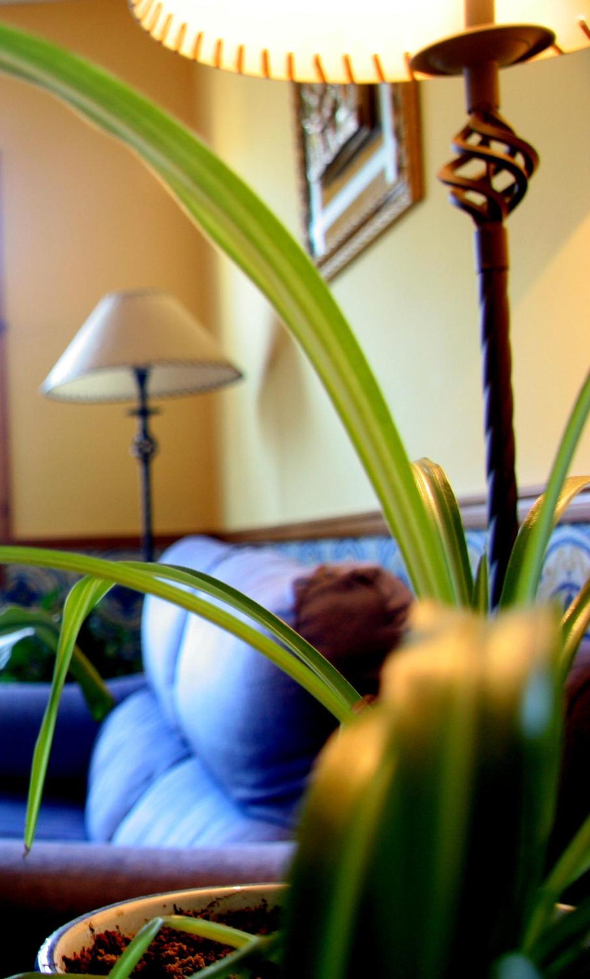 Hostal Casa Barranco Castejon del Puente Екстер'єр фото